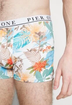 Pier One 5 PACK - Panties - Black/red/light Blue -Herrenbekleidungsgeschäft cb56c9022dc24f0db534dc6c096e565c